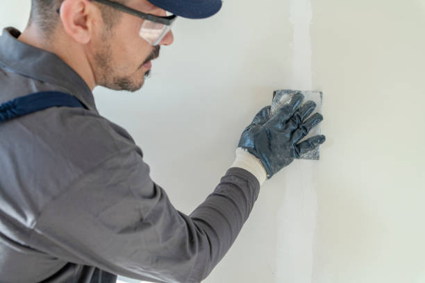 Wallpaper Removal and Painting in Clearwater, MN