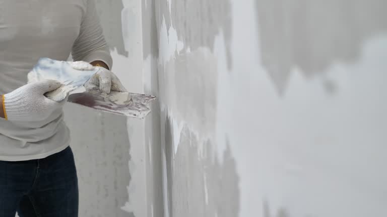 Best Drywall Texturing  in Clearwater, MN